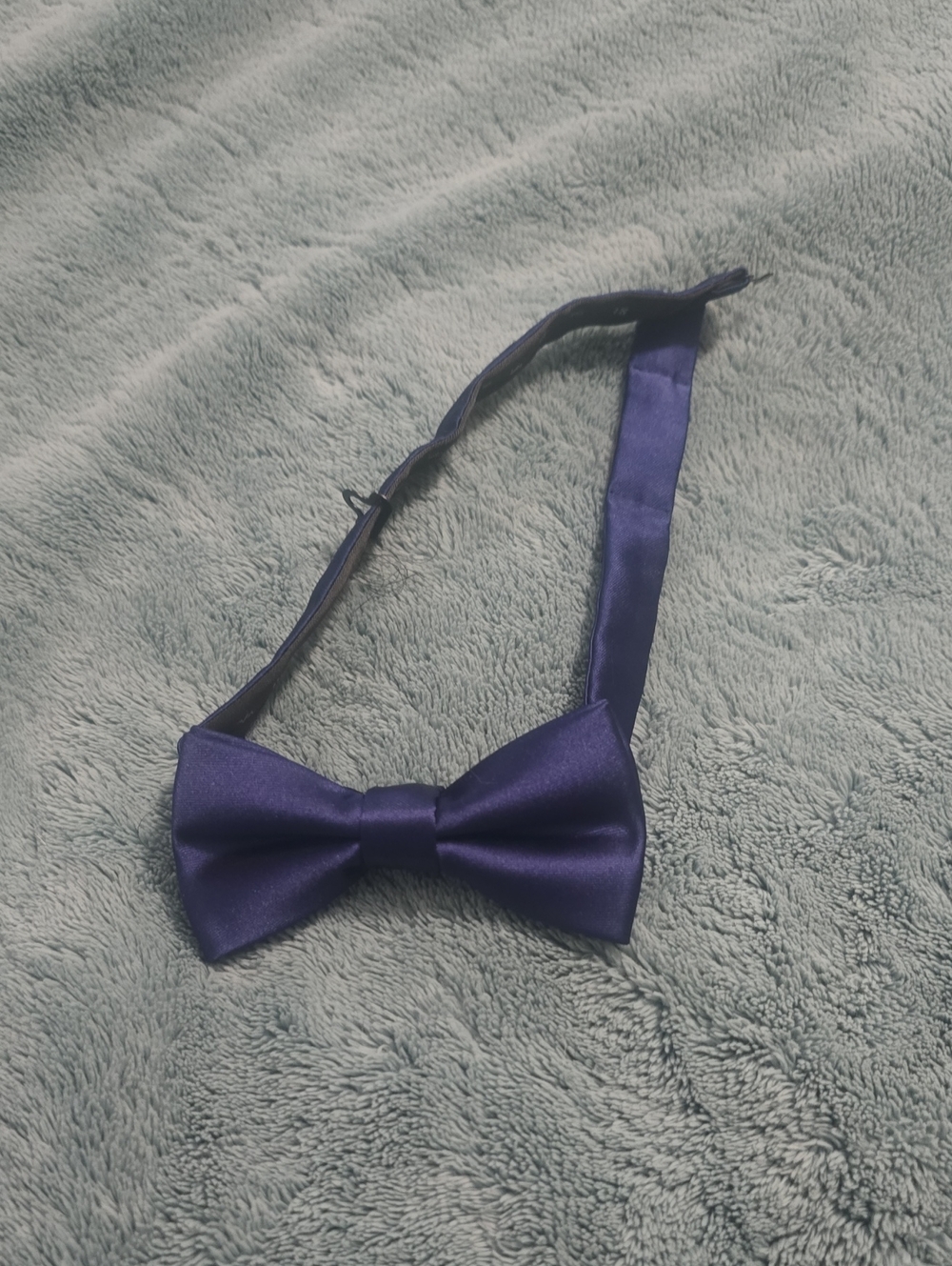 Egara Purple Satin Bow Tie